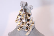 Load image into Gallery viewer, Shimmering Dangle Earrings
