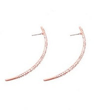 Load image into Gallery viewer, Share Love Earrings
