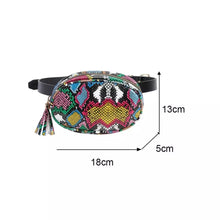 Load image into Gallery viewer, Printed Fanny Belt
