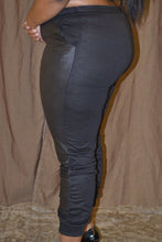 Load image into Gallery viewer, Shammy Jogger Pants (Plus Size)
